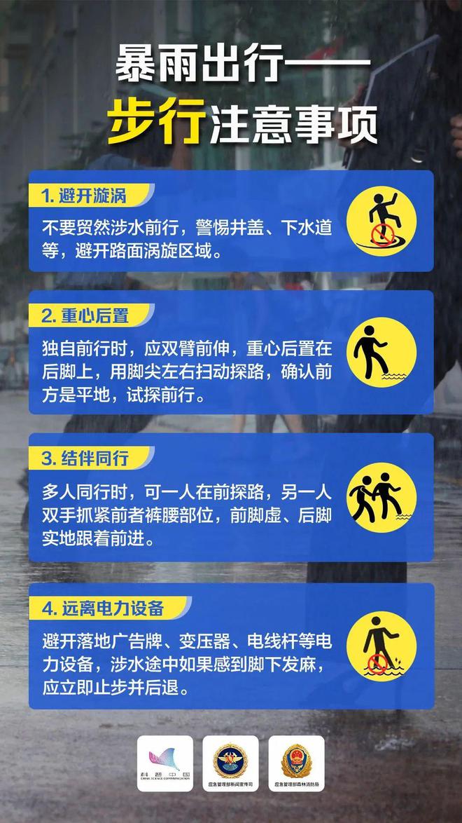 最新防伙牌攻略揭秘，实战技巧全解析，小红书分享助力31日防伙牌新策略！