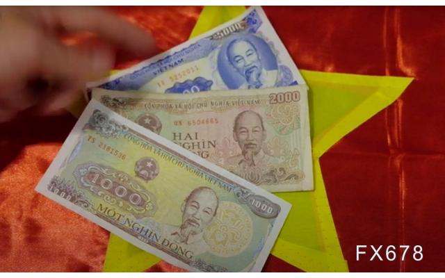 泰铢奇遇记，最新动态与温馨日常的探索