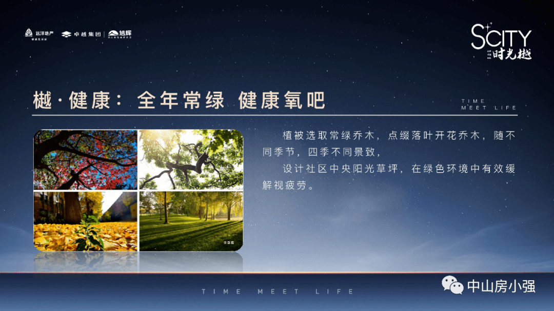 11月3日白金价格更新及全球白金价格走势深度解析