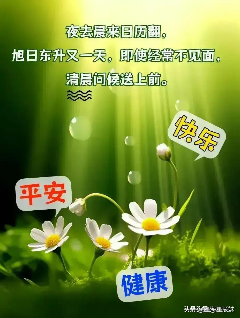 视频 第772页