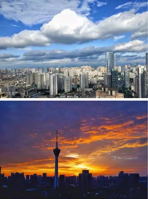 11月6日成贵线最新动态，速度与服务的双重提升