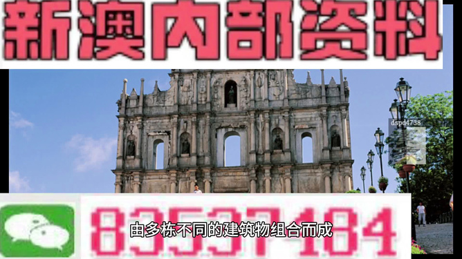 新澳2025年最新版资料,全面解答解析_驱动版VHS890.52
