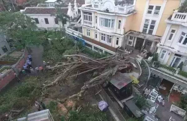 探寻抚顺神秘小巷，台风之日的隐藏瑰宝与历史台风状况回顾——11月10日特辑