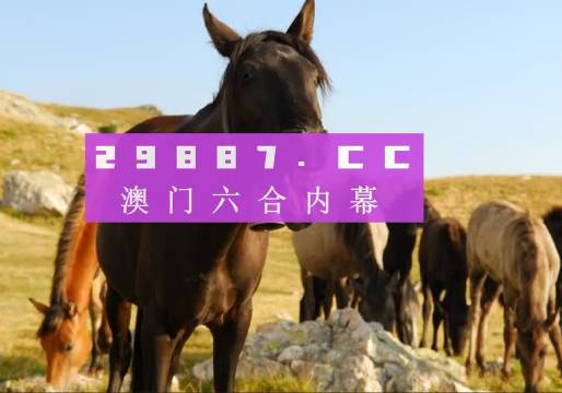 澳门管家婆官网六肖图库，精选分析解读_CFU568.24版
