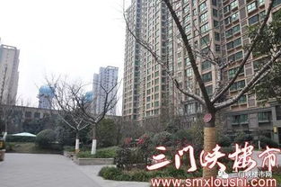 2025年11月18日鑫丰近水庭院最新进度，鑫丰近水庭院新篇章，学习变革的力量与自我成就的喜悦