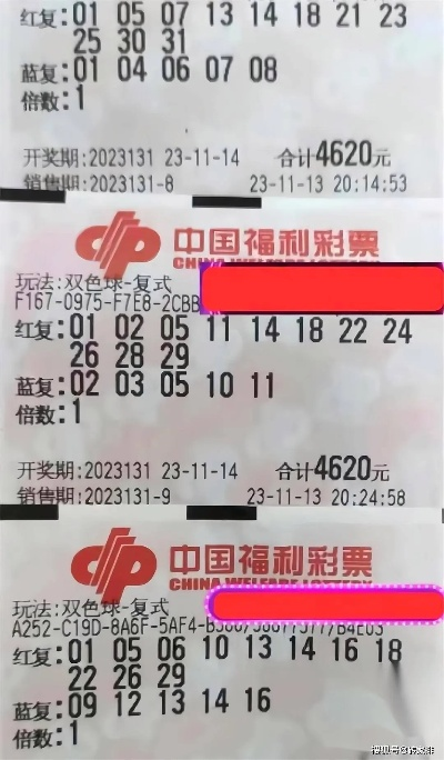 新澳2025今晚开奖结果,精细执行计划_变更版VSN7.78