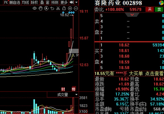 赛隆药业重磅消息揭晓，行业瞩目下的新里程碑（2025年12月1日）