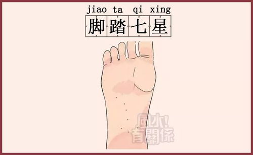 历史上的心尖痣，热门事件揭秘与全面评测介绍