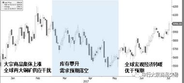 张皇无措 第2页