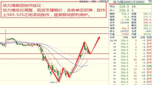 纷乐价格解析，全面洞悉市场行情与未来趋势预测