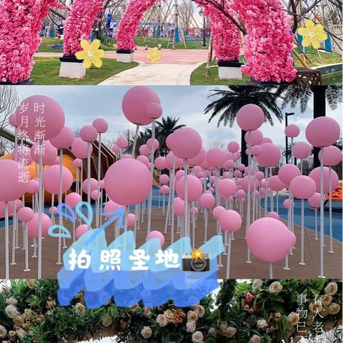 视频 第86页