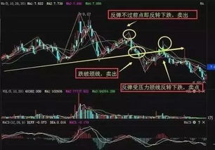 视频 第59页