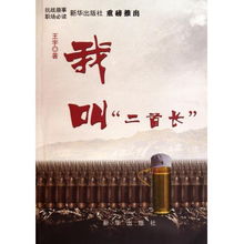二号首长小说深度探讨，揭秘故事背后的真相与魅力