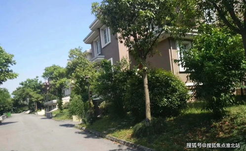 世嘉最新行情动态更新，今日市场走势揭秘！