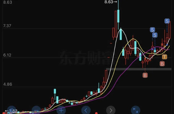 视频 第13页