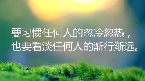 zhangmingfugui