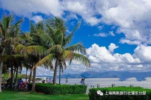 「深港畅游指南，最新深圳攻略图，轻松出行，一图掌握」
