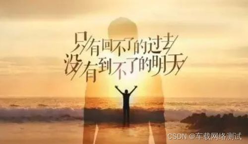 枫歌词中的励志名言与激励语录